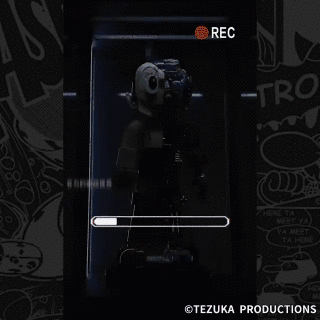 013.gif