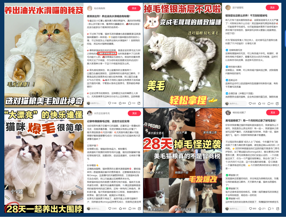 连产品的目标用户都不知道,你还要在小红书种草上花多少冤枉钱?