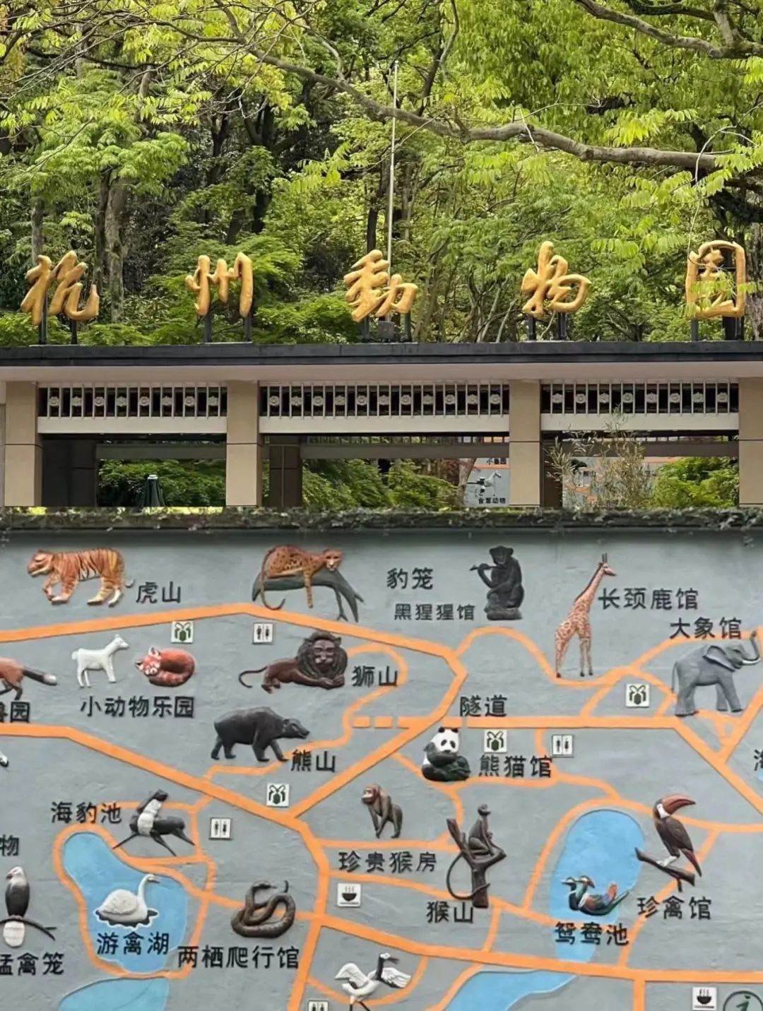 动物园怎么逆袭成了顶流? | 文旅专题02