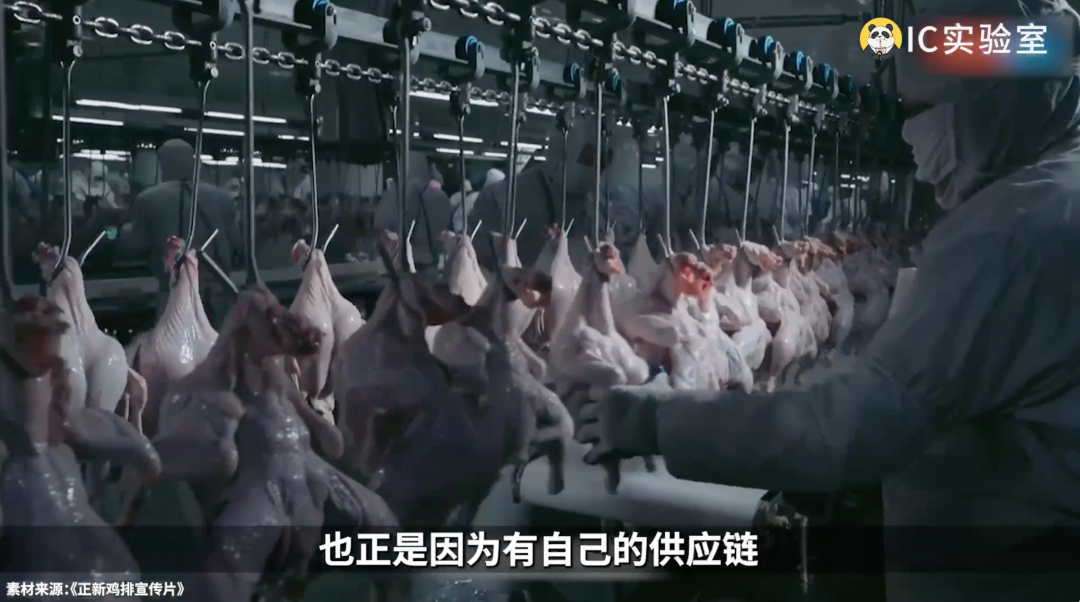 做鸡能有多挣钱?