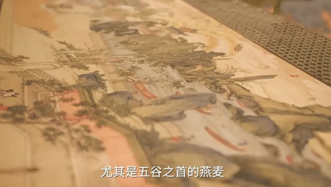 粽子大片口味多样,“粽”有一款和你心意