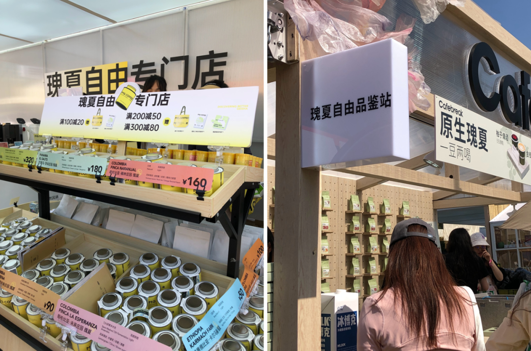 瑞幸库迪身后,独立咖啡品牌决定斗到底