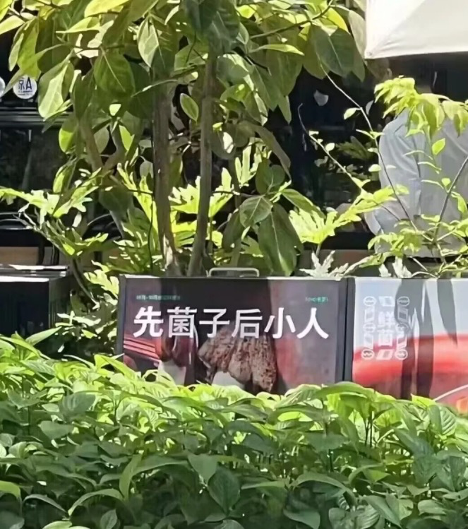哈哈哈哈哈这文案谁写的啊!!!