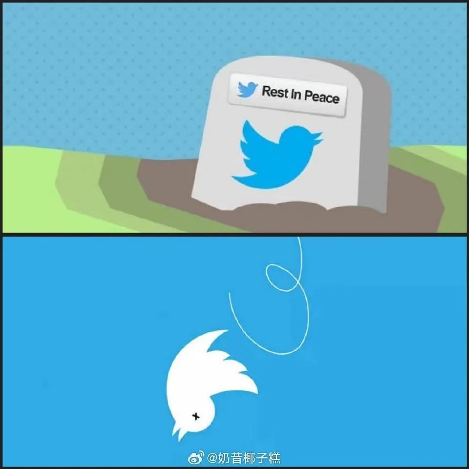 推特把logo改为X,特步才是最大赢家!