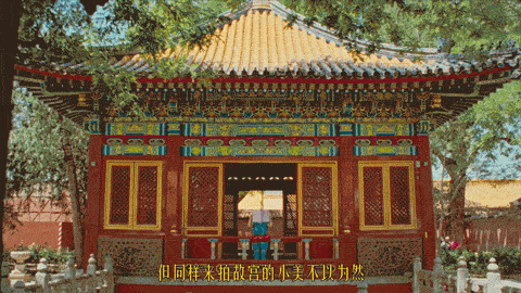故宫的多巴胺之美,被伊利拍出来了