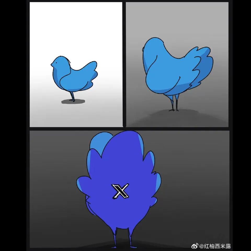 推特把logo改为X,特步才是最大赢家!