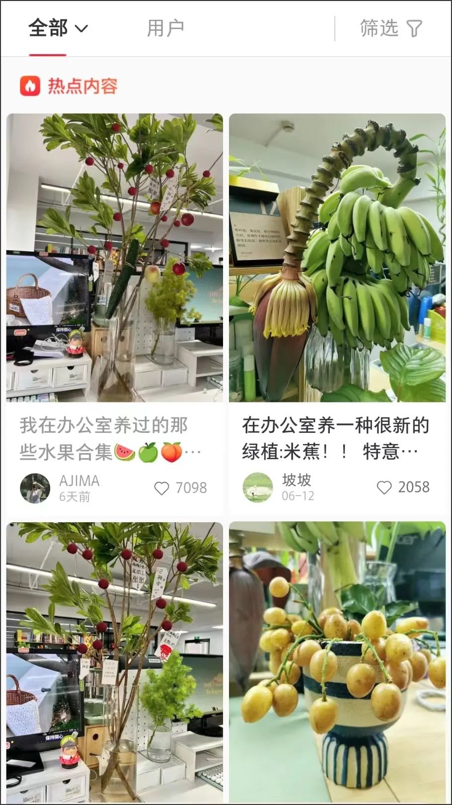 在办公室种&ldquo;下午茶&rdquo;，小红书流行&ldquo;果农&rdquo;风