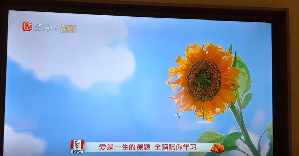 2024IP营销启示,有人一路爆款有人听劝爆火