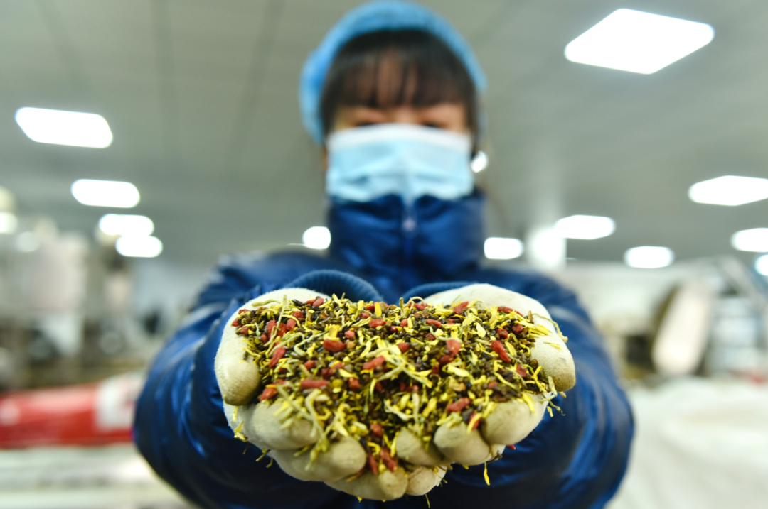 探秘亳州模式:花草茶产业在拼多多狂奔的5年
