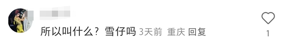 蜜雪冰城“私生子”曝光!网友:雪王塌房了
