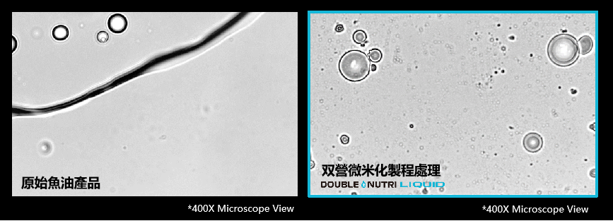 聚焦&ldquo;脑黄金&rdquo;DHA，从剂型到风味双重突破行业内卷