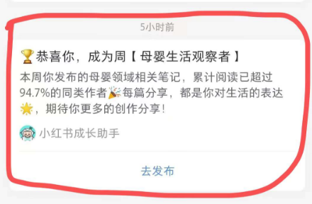 小红书违规、限流到日涨粉300,只需要一周