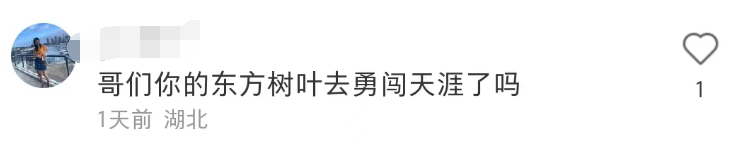东方树叶被魔改!网友:啤里啤气