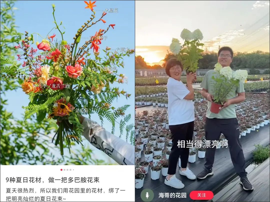 在办公室种&ldquo;下午茶&rdquo;，小红书流行&ldquo;果农&rdquo;风
