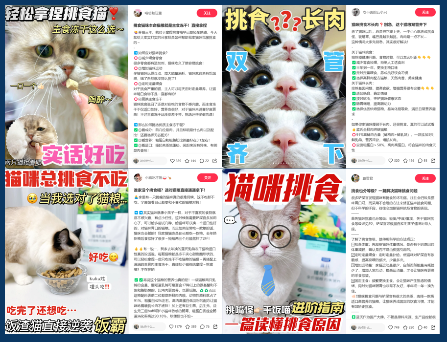 连产品的目标用户都不知道,你还要在小红书种草上花多少冤枉钱?