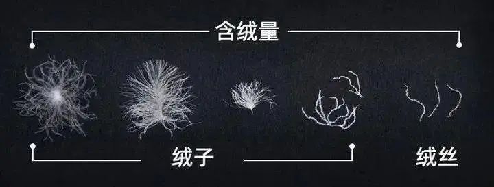 “假”羽绒服,害了多少人?