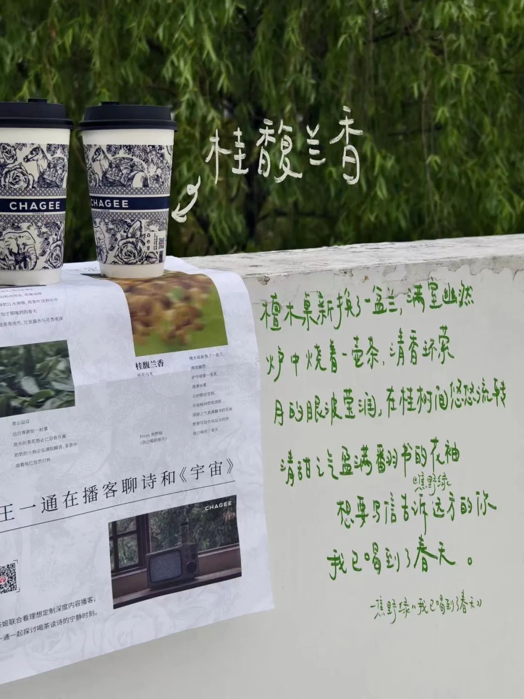 霸王茶姬x《宇宙探索编辑部》联动写诗了!