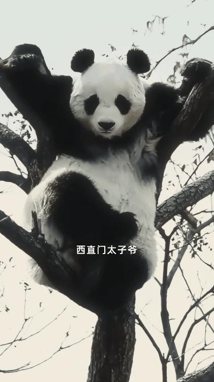 OPPO请德爷游北京,这波创意太赞了