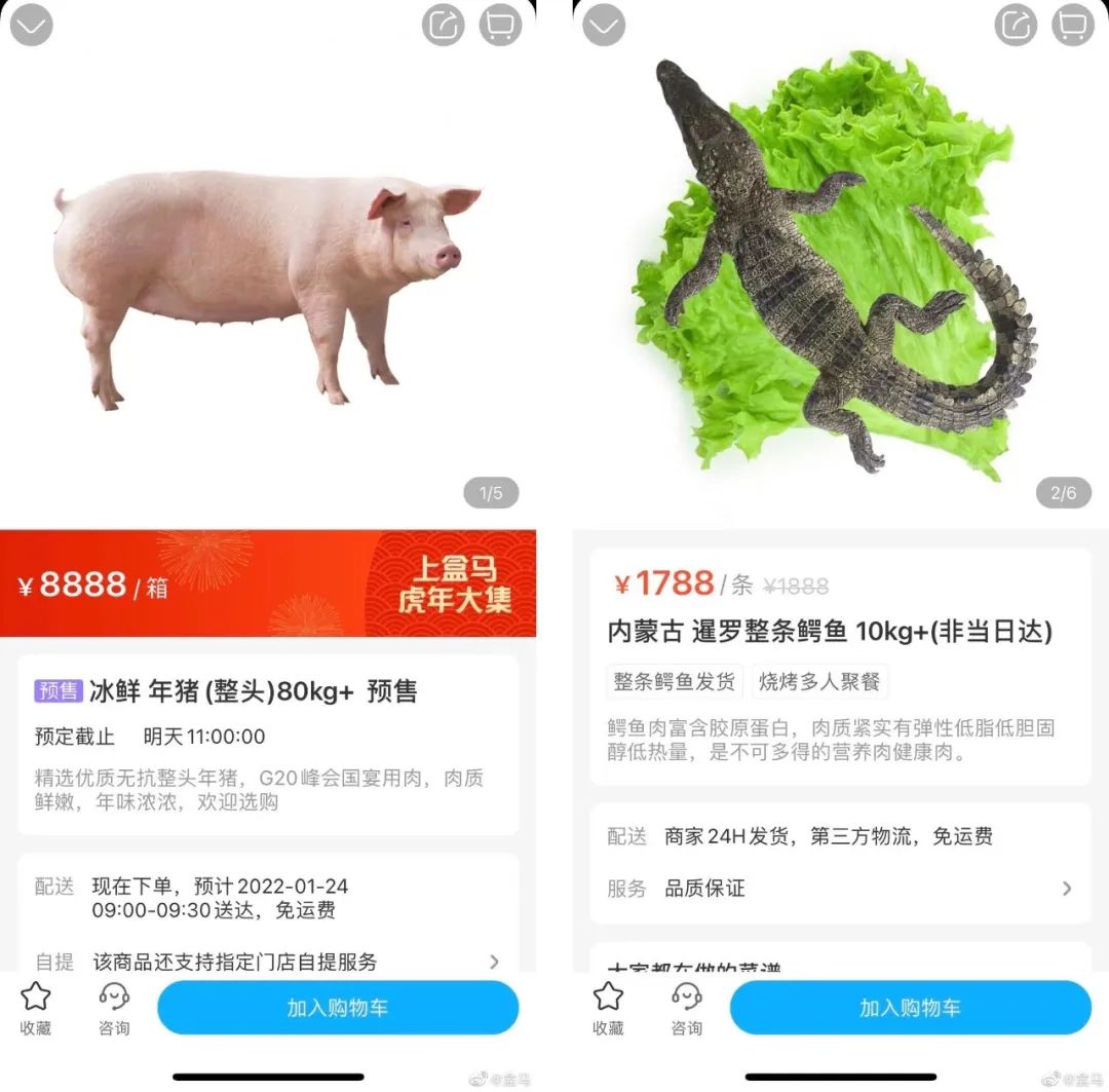 盒马的猪,把刘畊宏女孩卷疯了!