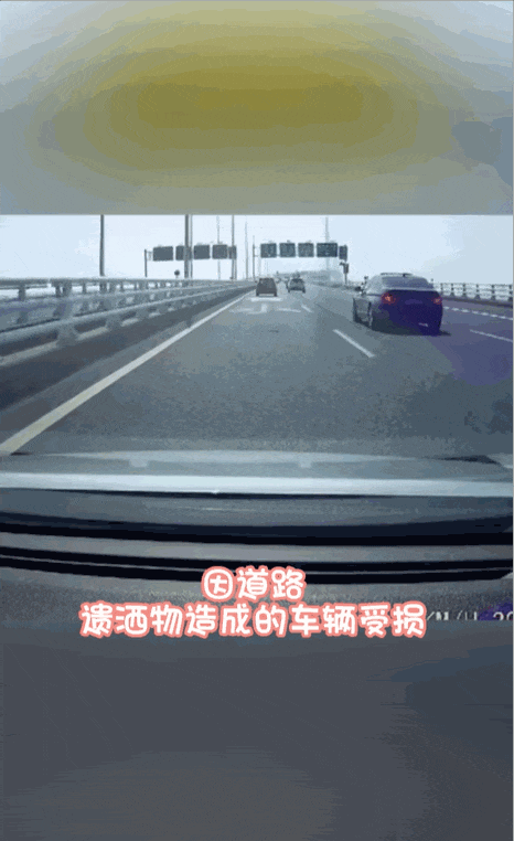 直播高速路况,半个月竟暴涨246万粉丝!她做对了什么?