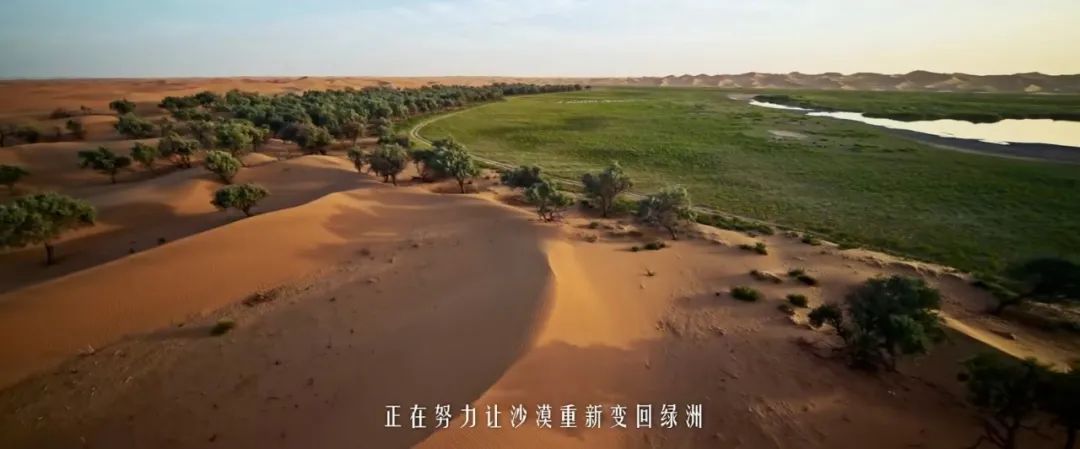 年末营销大盘点,看特仑苏如何持续高价值引领