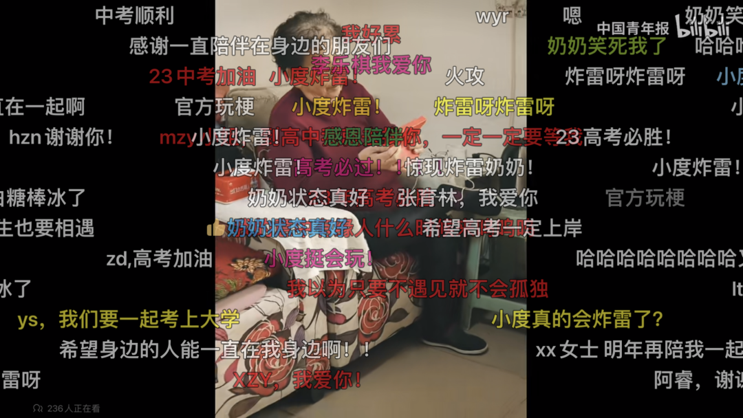 2022最后一周,小度又冲上B站热榜