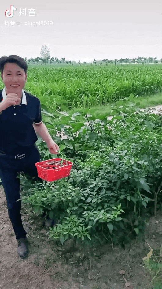 网红地域图鉴:云南“滇疯赛”,天津下大爷,一半顶流在安徽?
