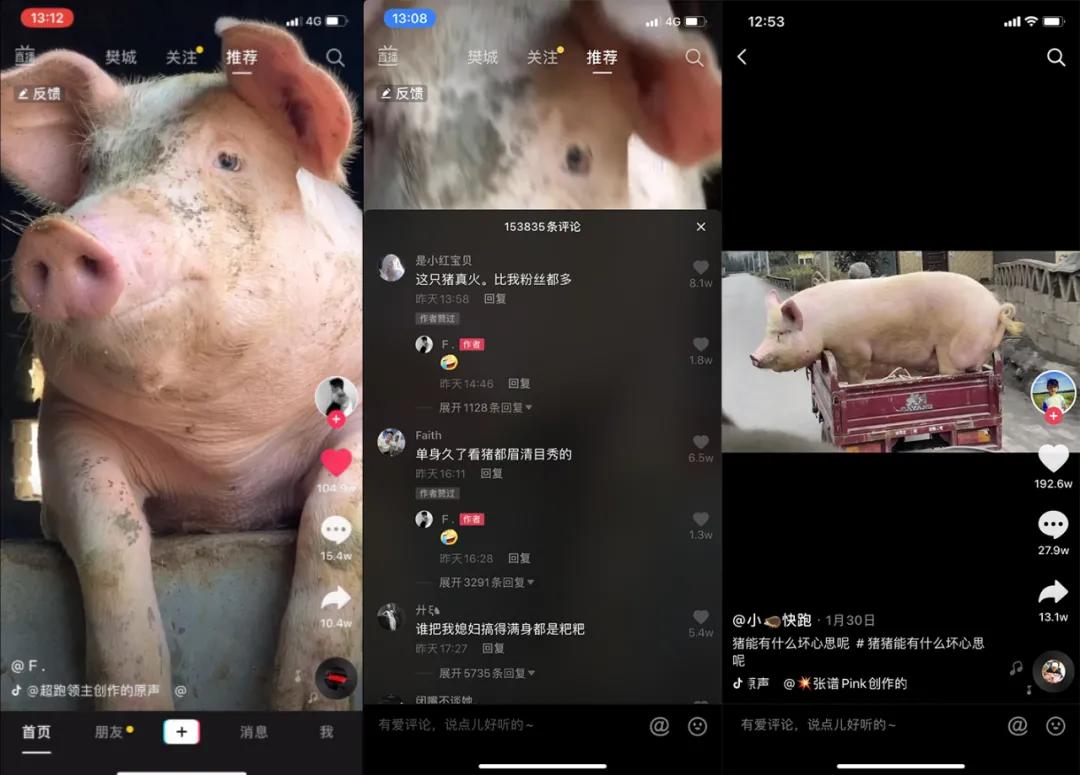 图片 图片