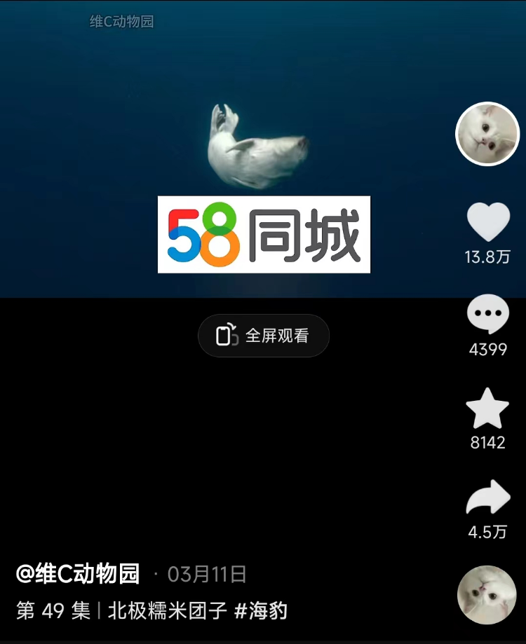 1个月涨粉超300万,这届年轻人有自己的《动物世界》