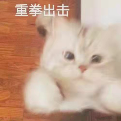image.png image.png