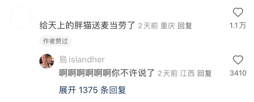 小红书网感文案,句句神标题