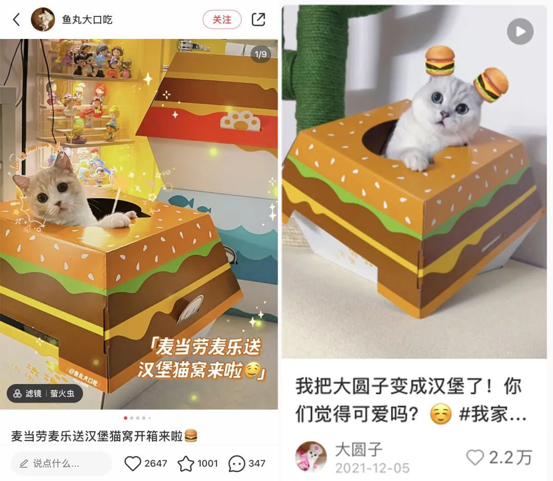 6年做到品类第一!高热宠物用品赛道来看pidan怎么做小红书投放布局?