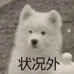 “秀才” “一笑倾城”一夜爆红,农村老人砸上全部家当