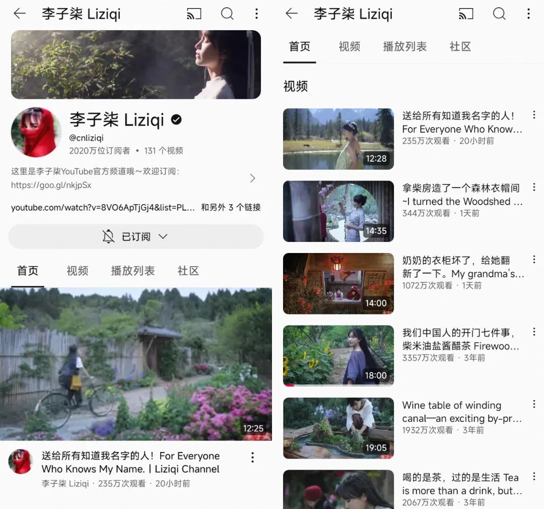 李子柒一晚涨粉400万!停更3年,归来仍是顶流。