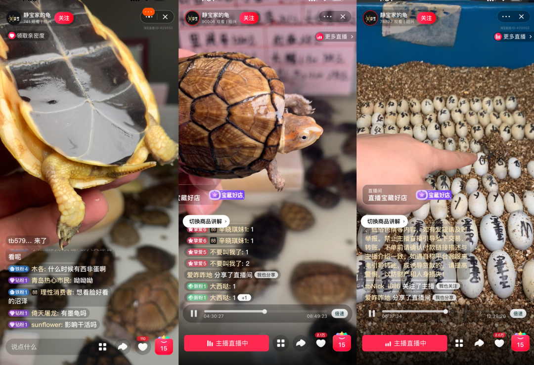 一千万人,在淘宝追一种很新的演唱会