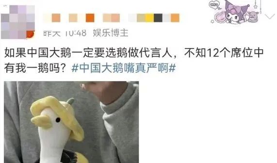 “中国大鹅”火了!双11最强带货王,竟然是网友?