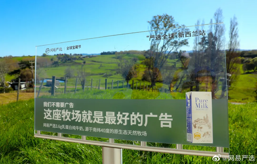 网易严选&ldquo;中国大鹅&rdquo;听劝海报，文案太有梗了