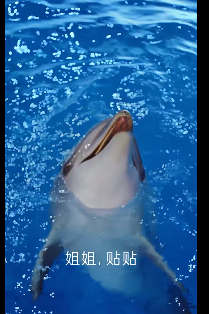 记者帮 | 杭州一小区电梯“海豚皮”仿生面膜广告,会“发声”,听着实在瘆得慌