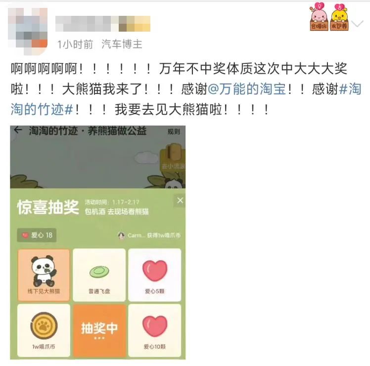 大熊猫保护日,淘宝拍了一支让人爱心爆棚的皮影戏