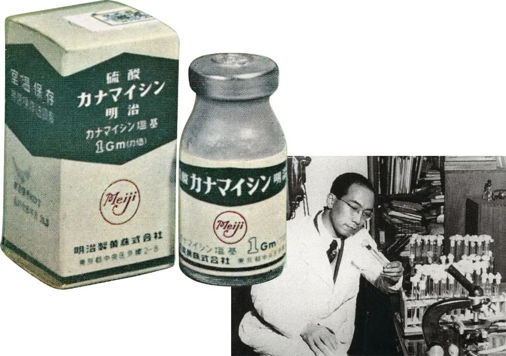 这家日本食品标杆巨头,如何穿越百年?