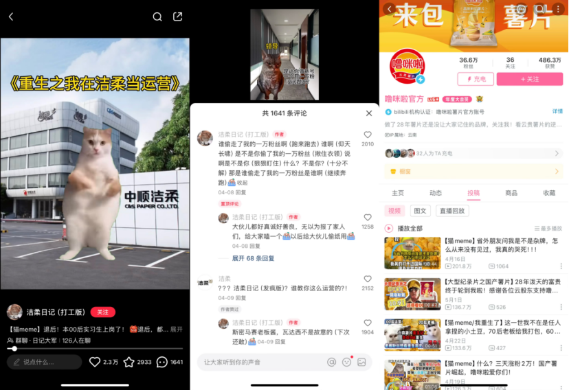从“猫meme”到“绿色鸟子”,真正的“万物皆可IP”? | 雷报