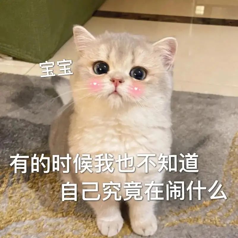 2025求职真相:这5个隐藏赛道正在爆发,80%的人却还在投无效简历