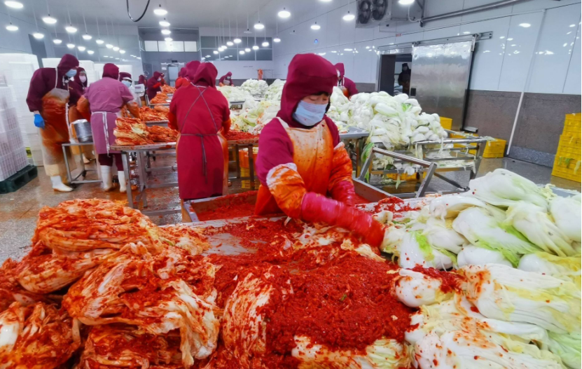 韩国泡菜99%都产自中国?你所知道的都是错的