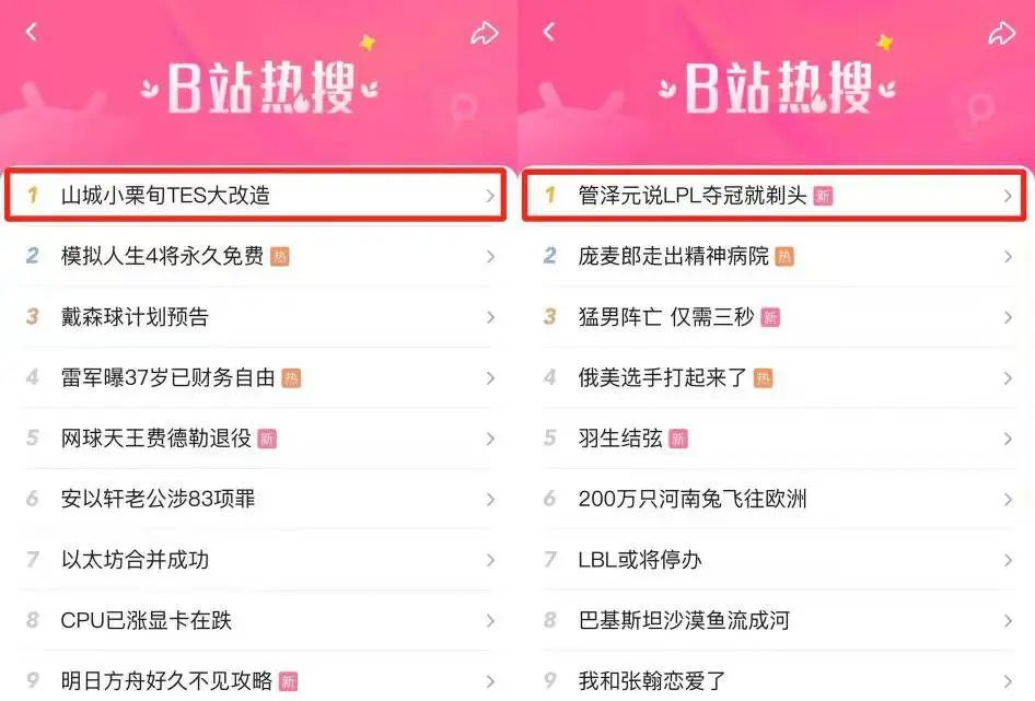 连续12个月登顶B站官方榜,老牌MCN如何成为“百大UP主”孵化机