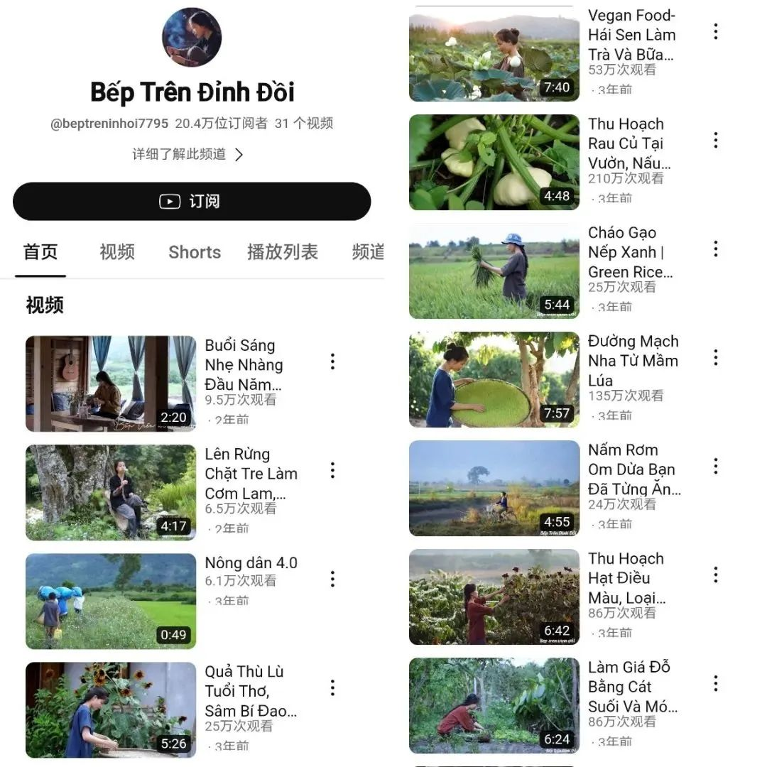 中国第一网红,销声匿迹