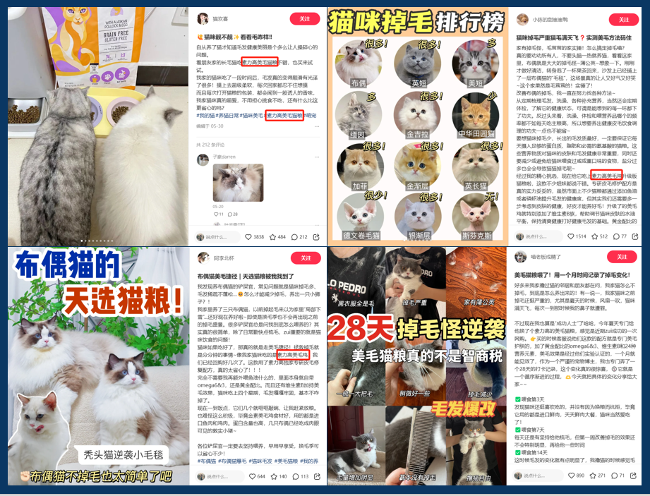 连产品的目标用户都不知道,你还要在小红书种草上花多少冤枉钱?
