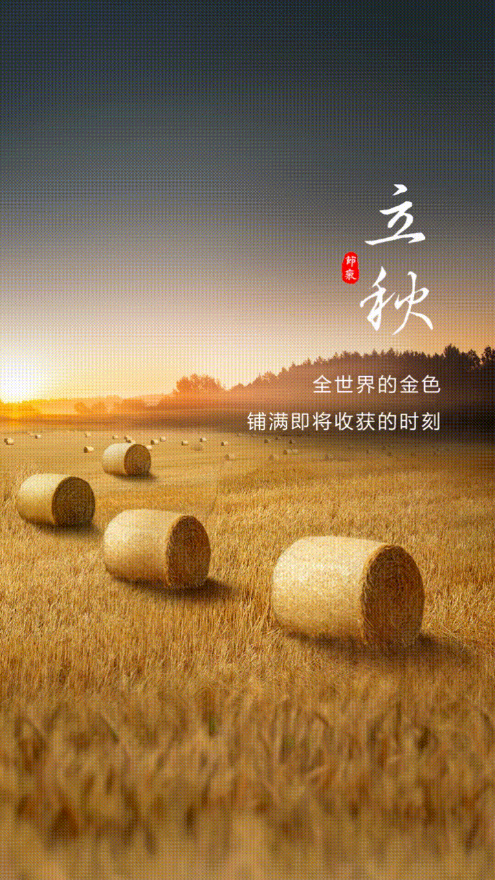 我扒皮了金蝶信科全年的海报，终于知道了他们的设计套路&hellip;&hellip;