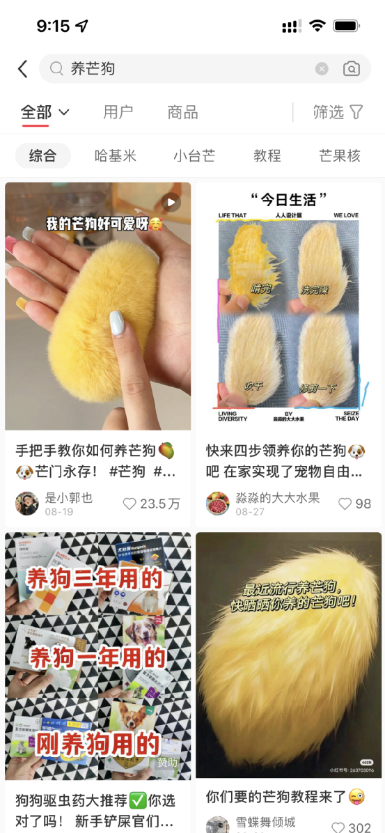 在小红书赚钱的5大门路
