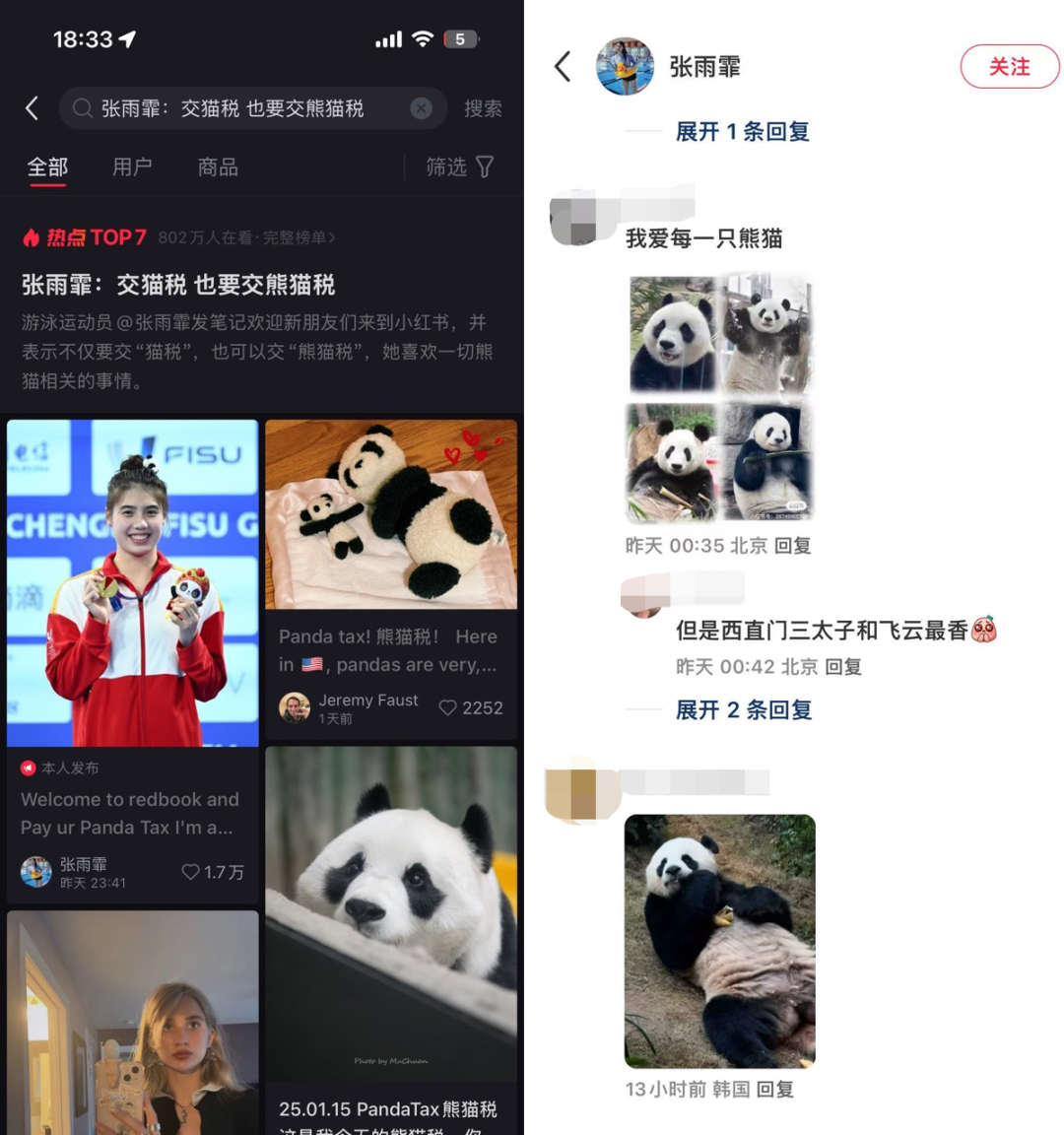 大熊猫保护日,淘宝拍了一支让人爱心爆棚的皮影戏