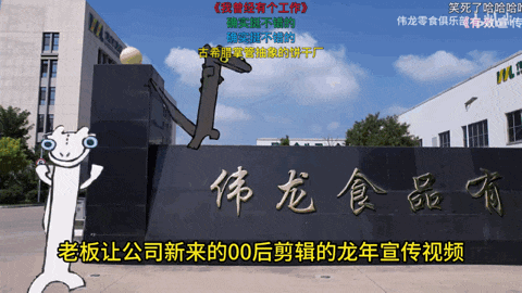 00后官号运营，正在用猫meme勇闯职场